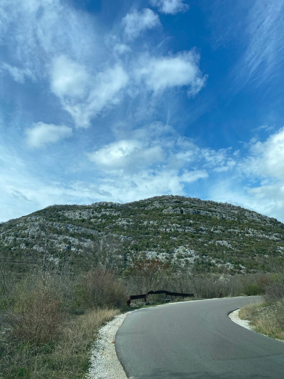 Spring wildflowers documented along mountain roads in Rvaši, Montenegro