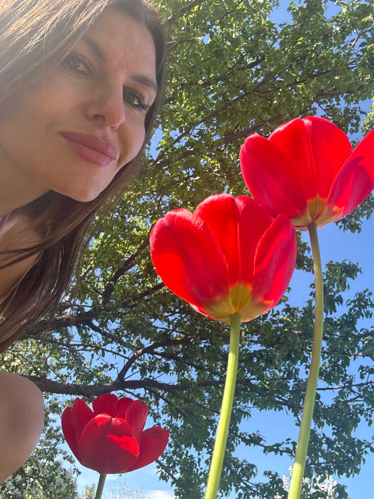Garden moments captured with tulips in Dubovaya, Russia