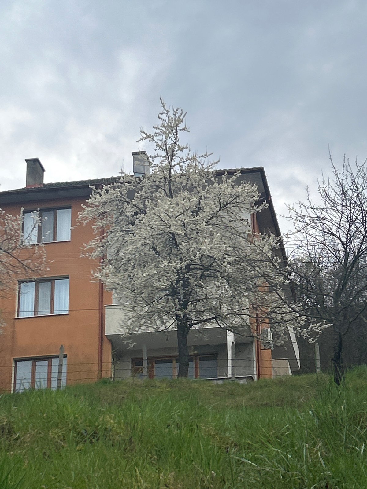 Spring day memories captured across Zlatograd, Bulgaria