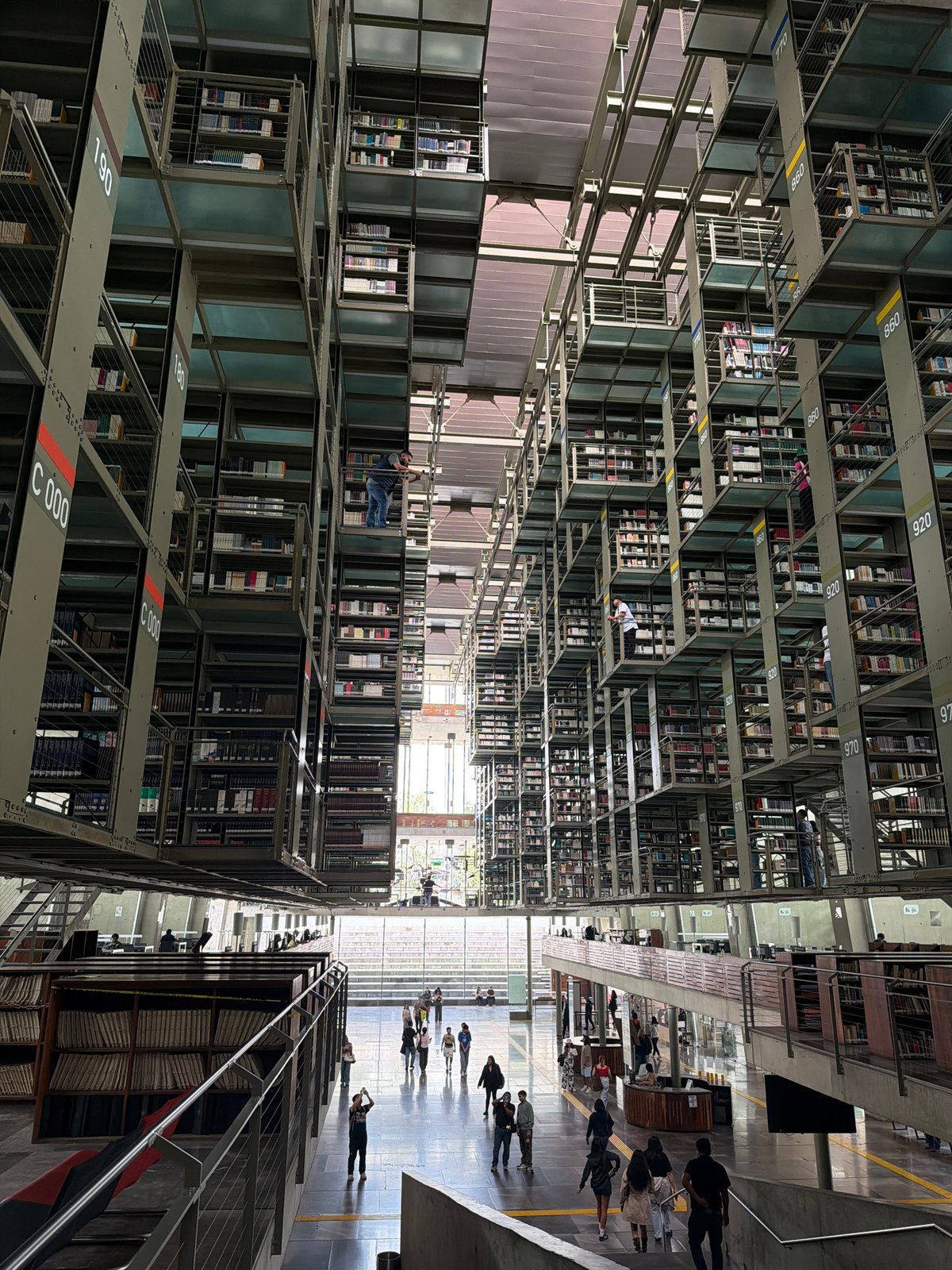 Inside Vasconcelos Library, whale skeleton and soaring book stacks