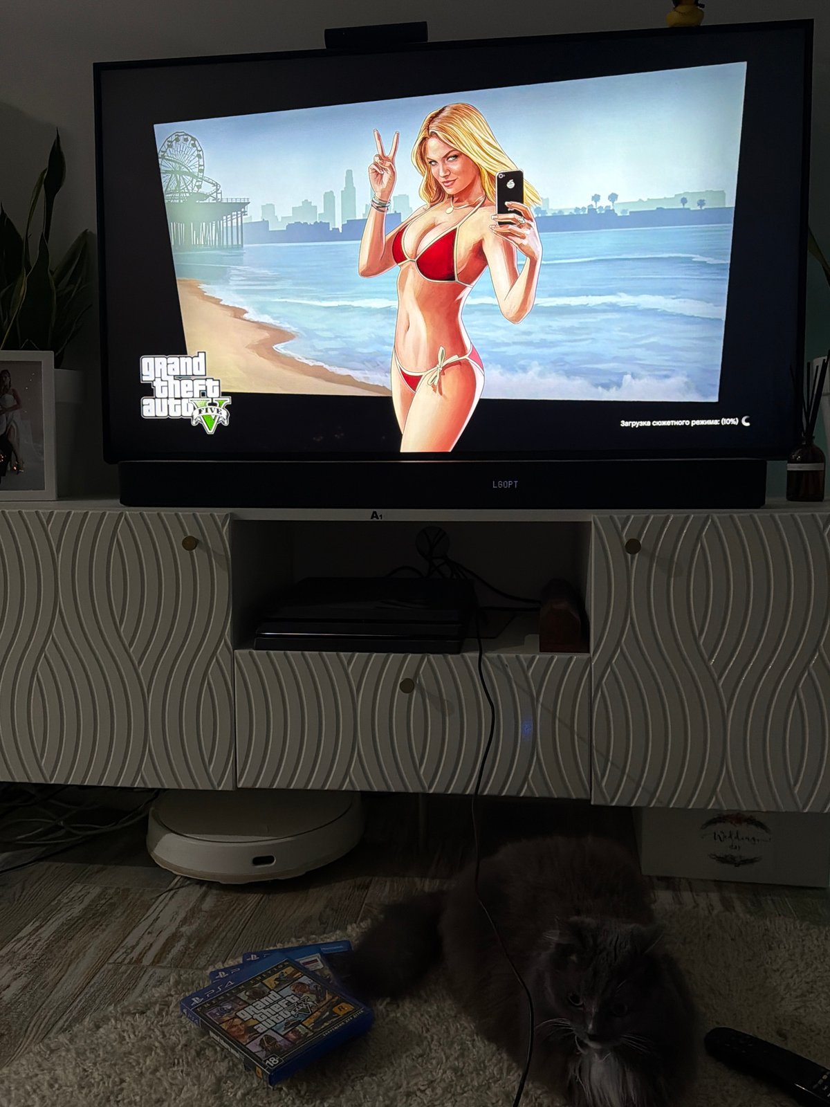Evening gaming session with cat and selfies in Russian home