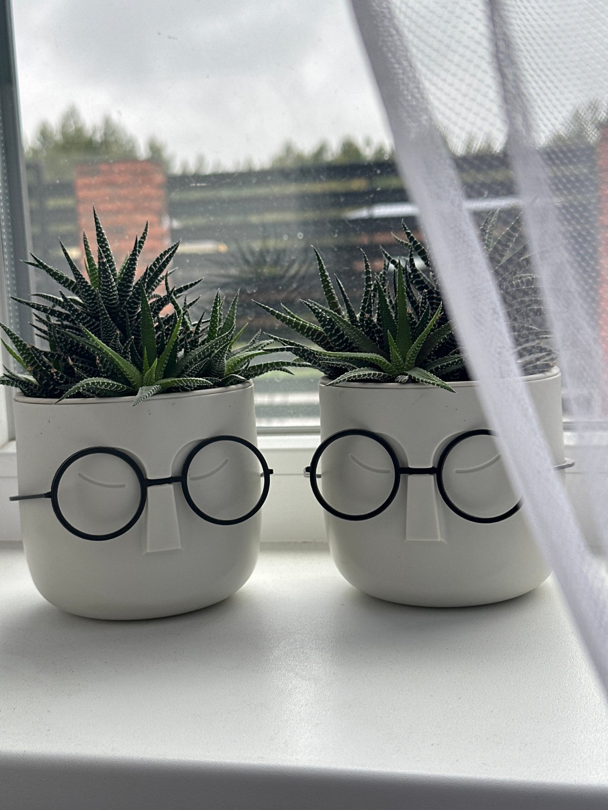 Quirky face planters with succulents spotted on Russian windowsill