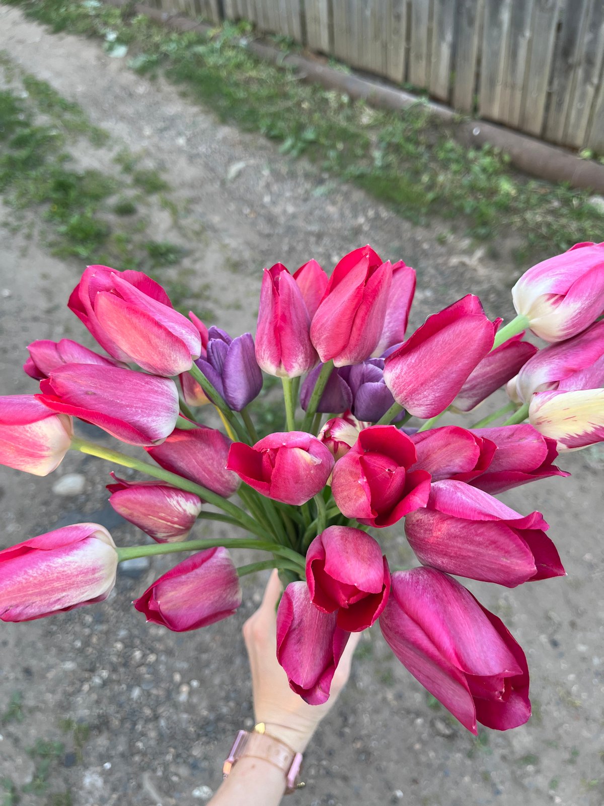 Woman with tulip bouquet observed near red car in Chaikovsky
