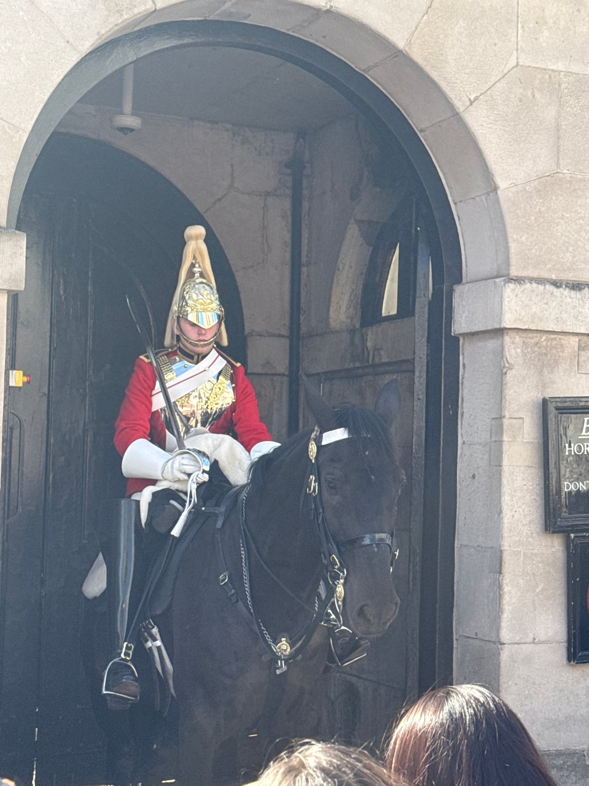 Horse Guard in ceremonial dress spotted on duty in London