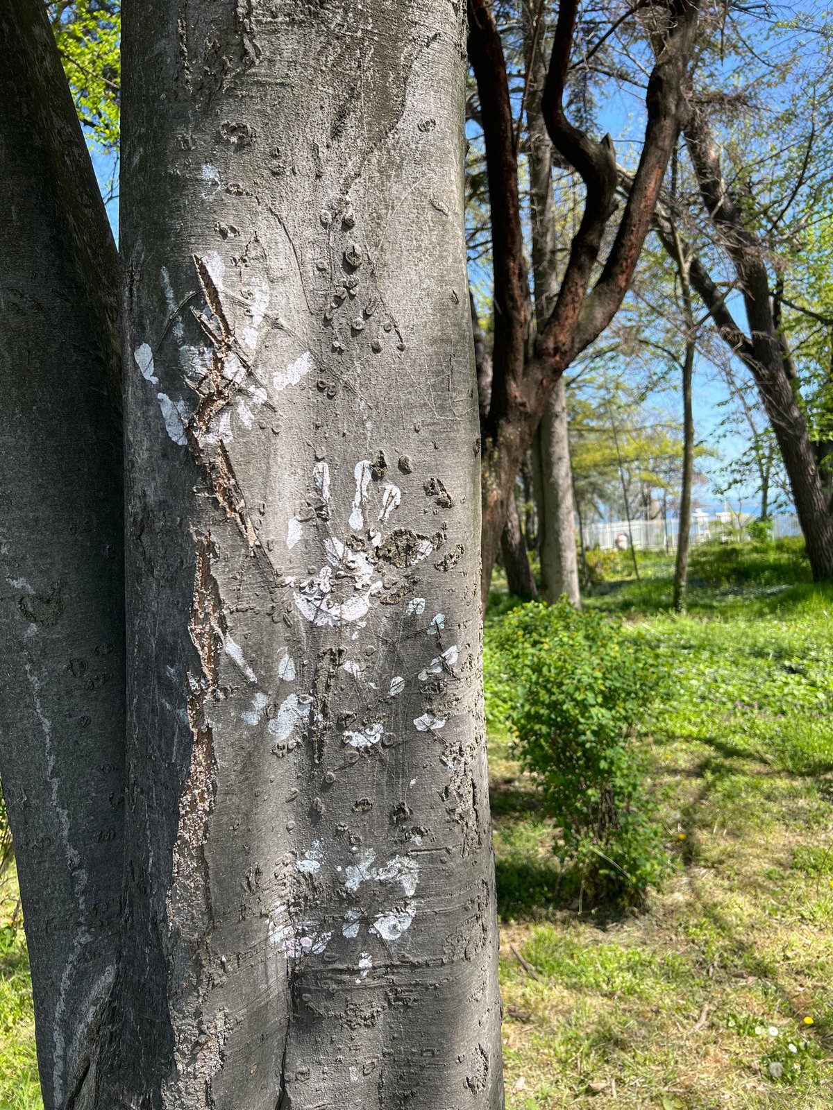 Morning nature walk documented in Burgas park and coastal area