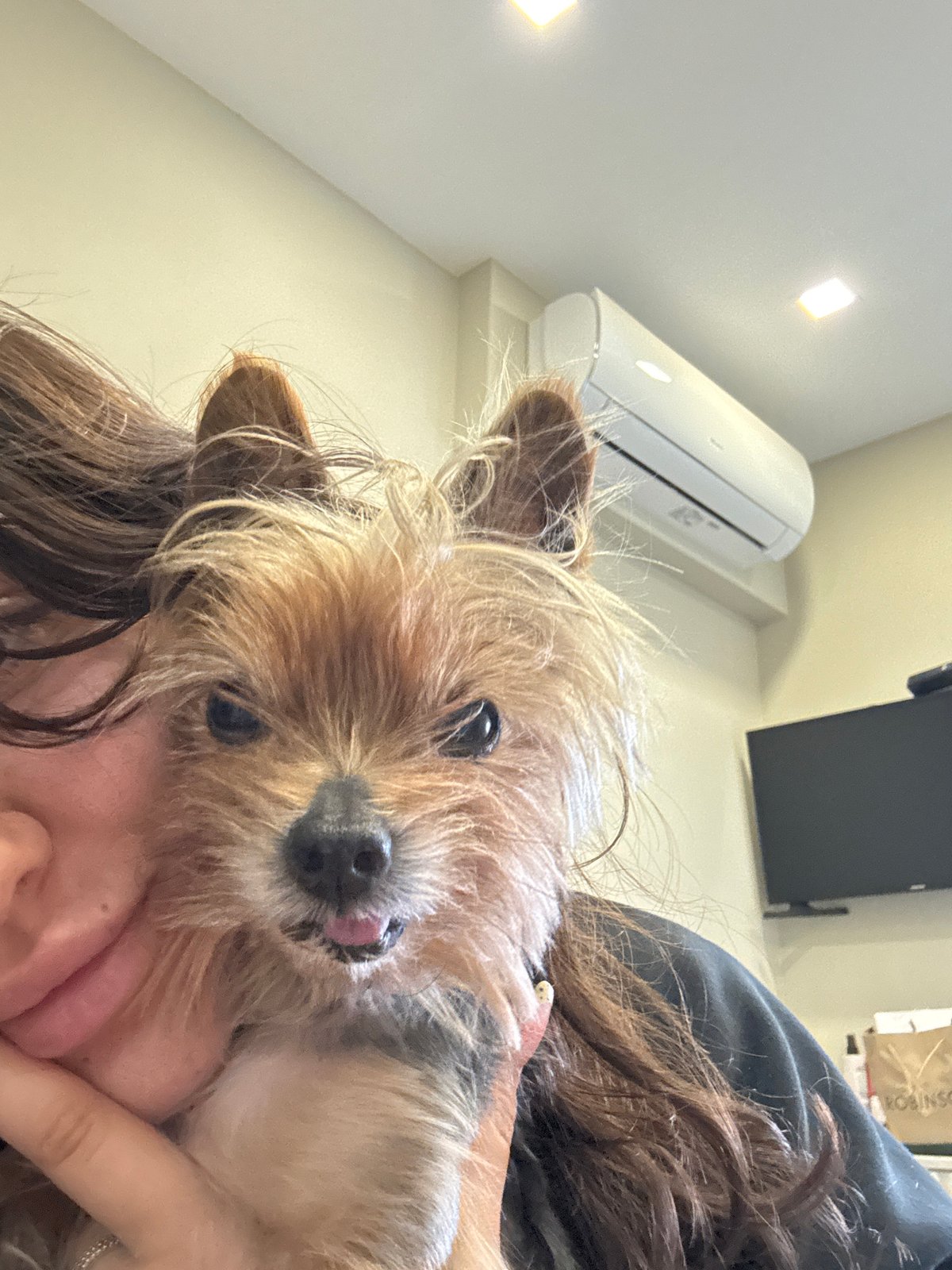 Person holds small dog in affectionate moment in Burgas
