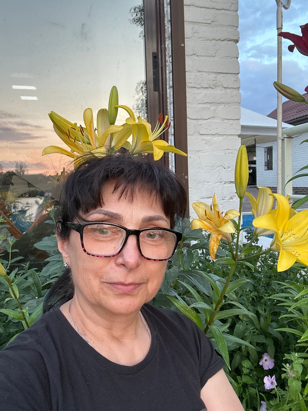 Yellow lilies in full bloom, filmed in a Ukrainian backyard