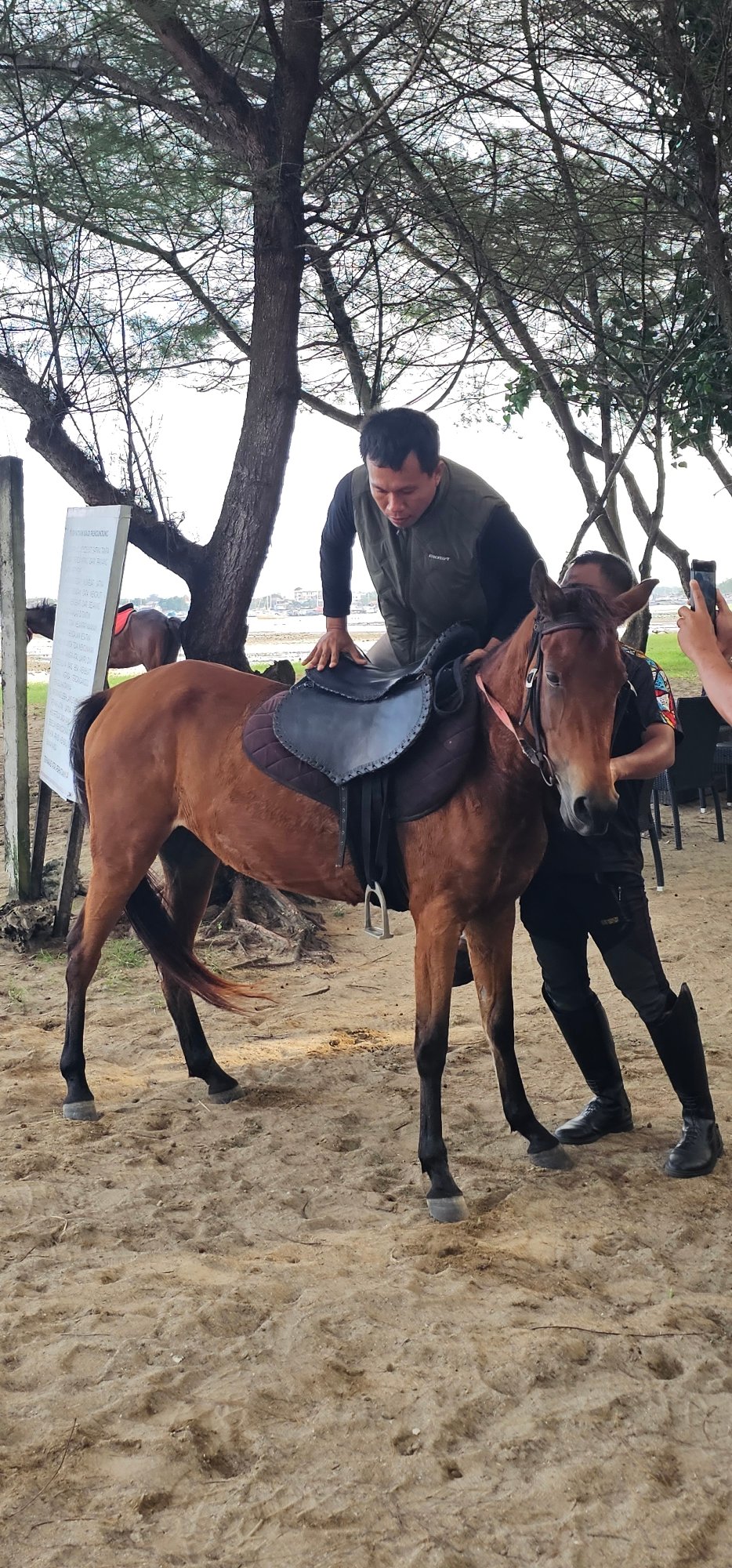 Beach horseback riding documented near Denpasar, Indonesia