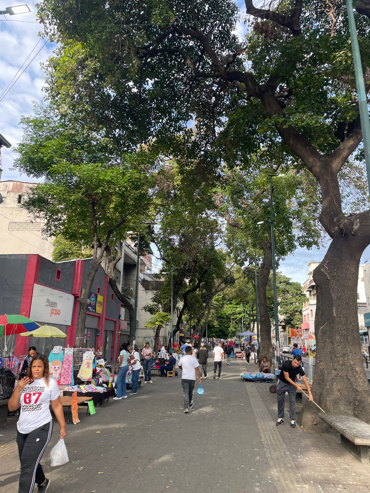 Busy tree-lined marketplace scene observed in Caracas
