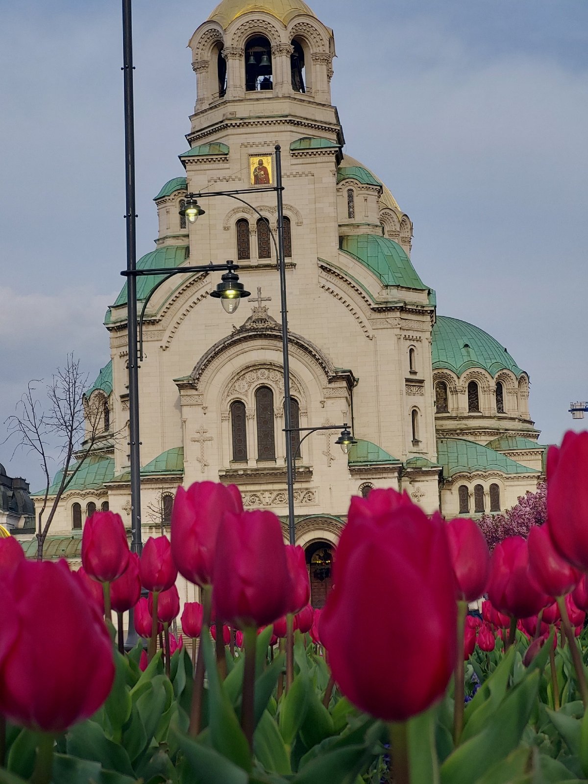 Spring tulips bloom around Alexander Nevsky Cathedral in Sofia