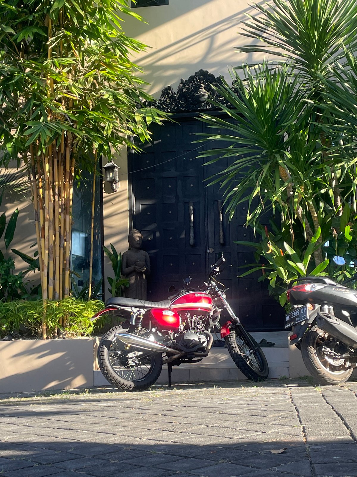 Morning playtime on a North Kuta side street