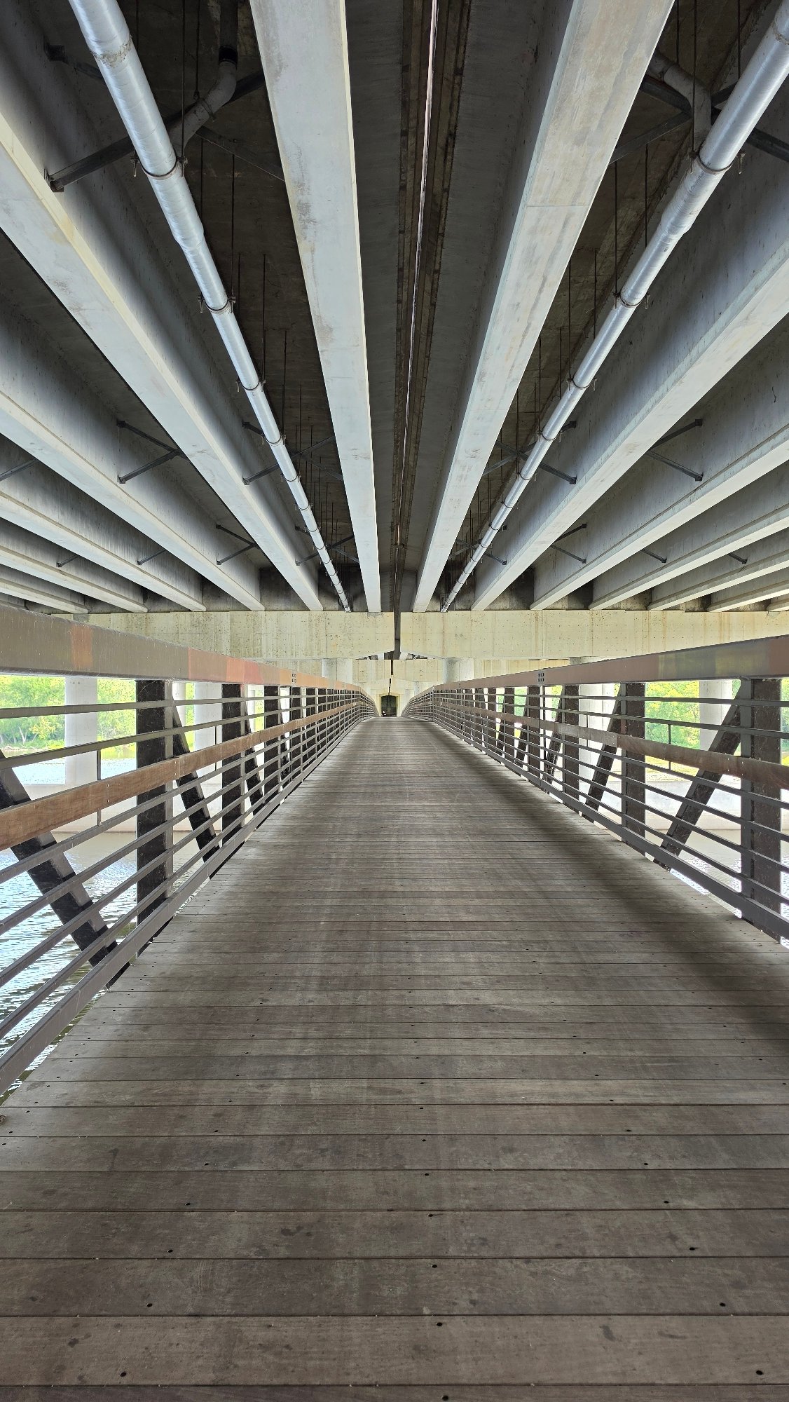 Pedestrian bridge and lily pad pond in Elgin, Illinois