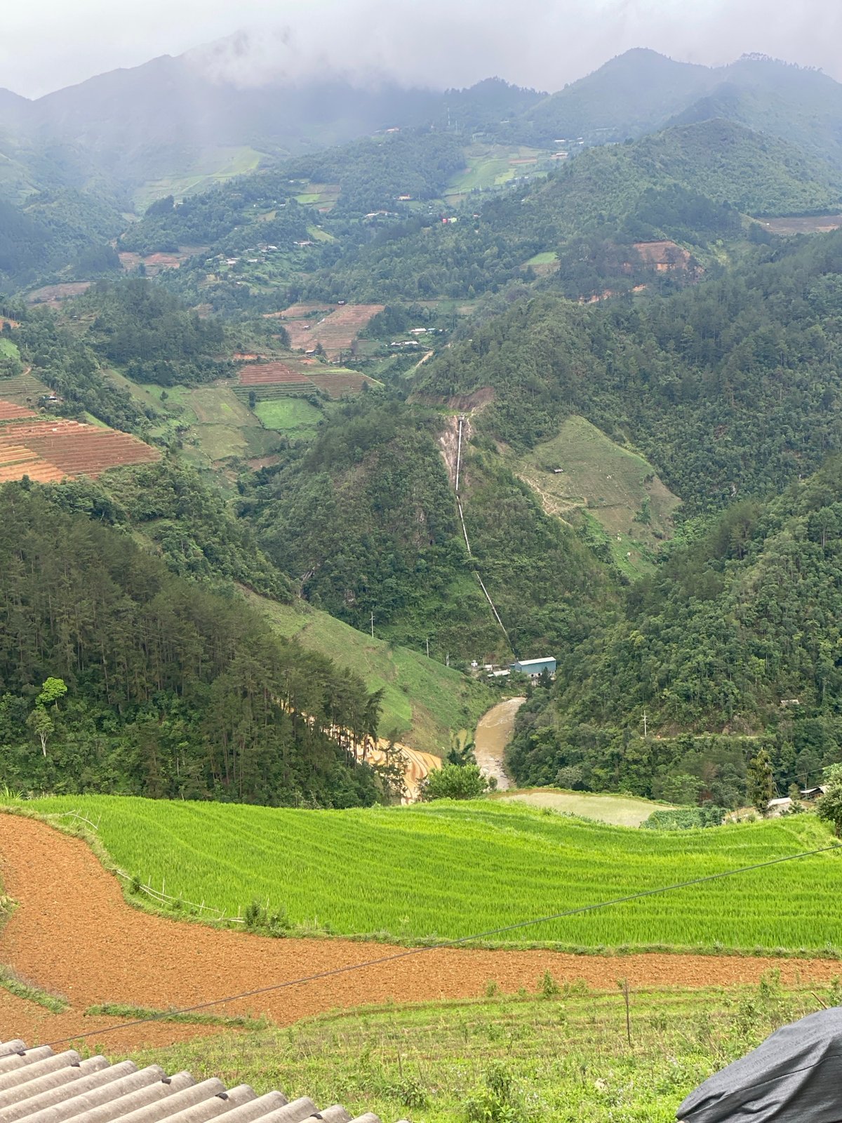 Rural Vietnam morning captured: terraced landscapes, puppy encounter documented