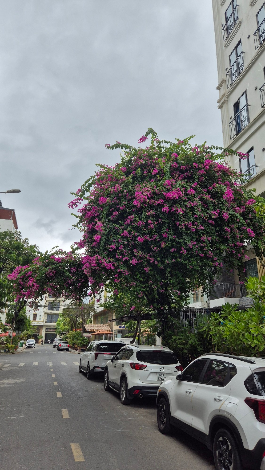 Morning street life documented across Đà Nẵng neighborhoods
