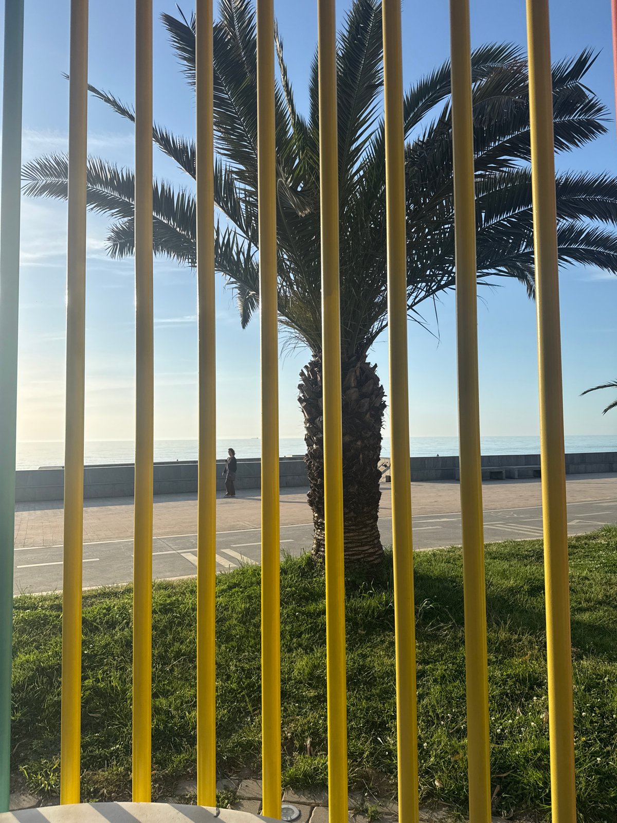 Ordinary afternoon life documented across Batumi's seaside districts