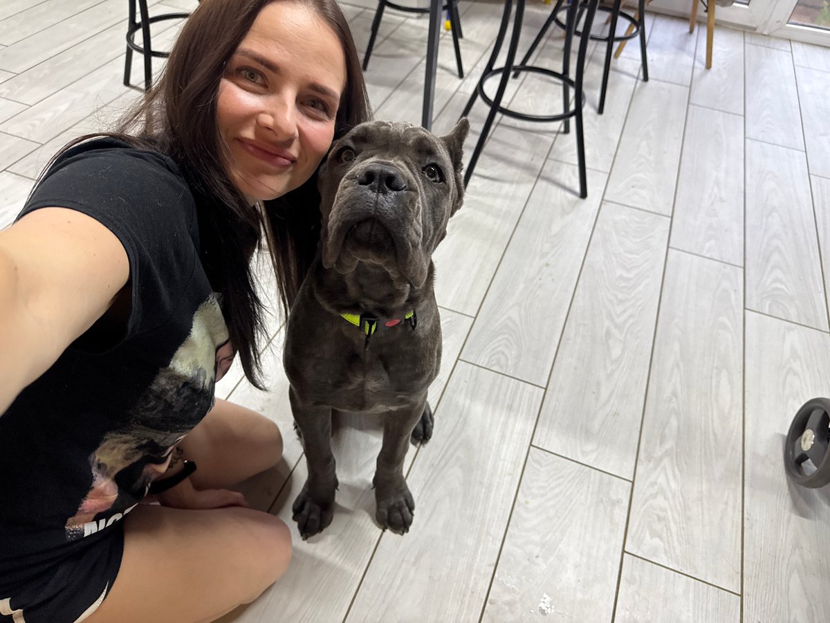 Cane Corso and owner on a wooden floor, Rusalevka