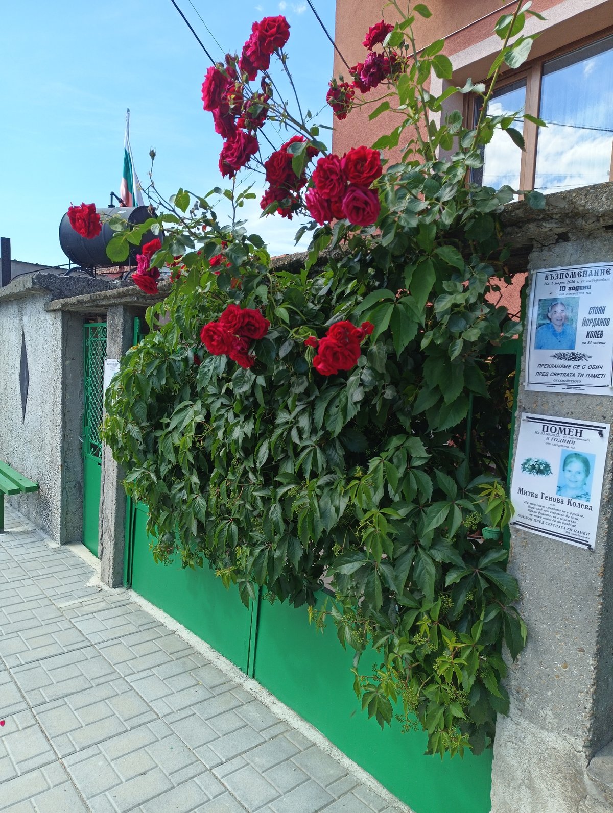 Street scenes documented in Karnobat Bulgaria show roses fences