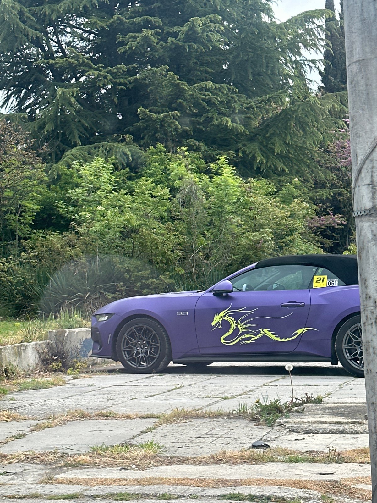 Purple Mustang with dragon decal spotted in Varna