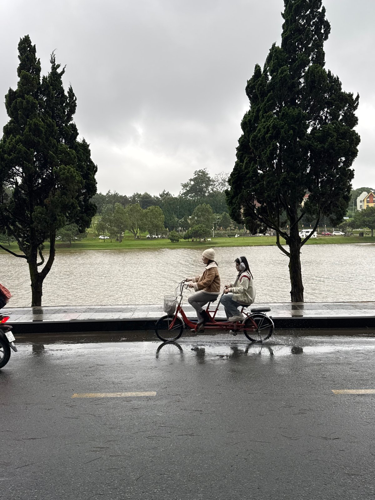 Rainy morning scenes documented around Xuân Hương Lake, Đà Lạt