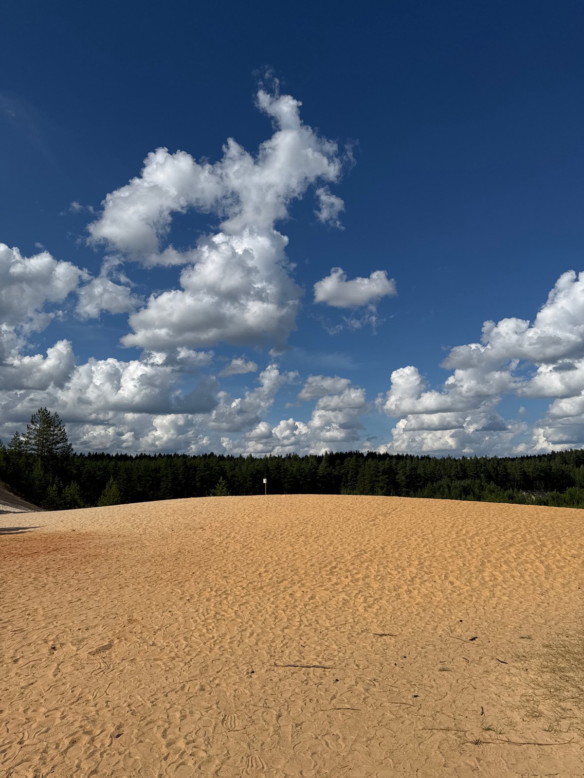 Exploring Piusa's sand dunes and sandstone caves in Estonia