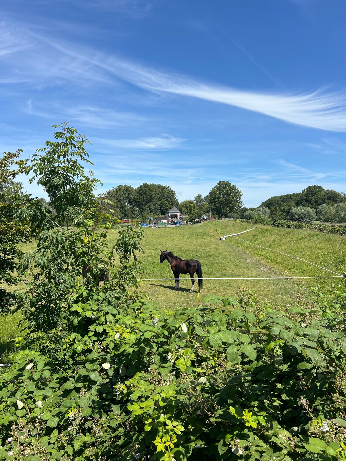 Afternoon in Delft: pasture, hotel room, and a GRWM post