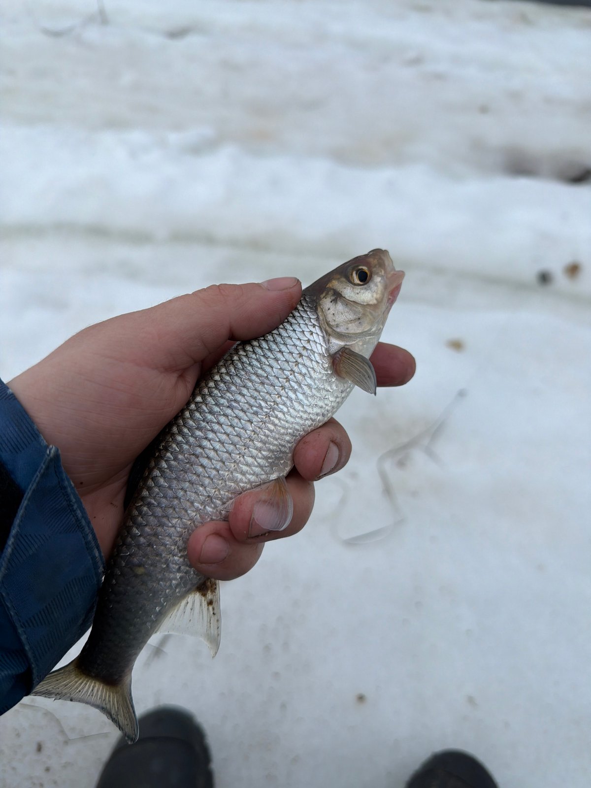 Winter fishing observed in snowy Noviy, Russia