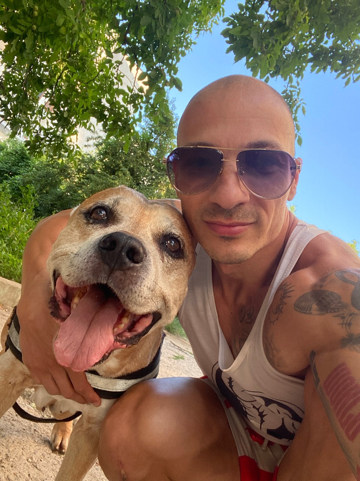 Dog and owner enjoying a sunny park day in Pleven