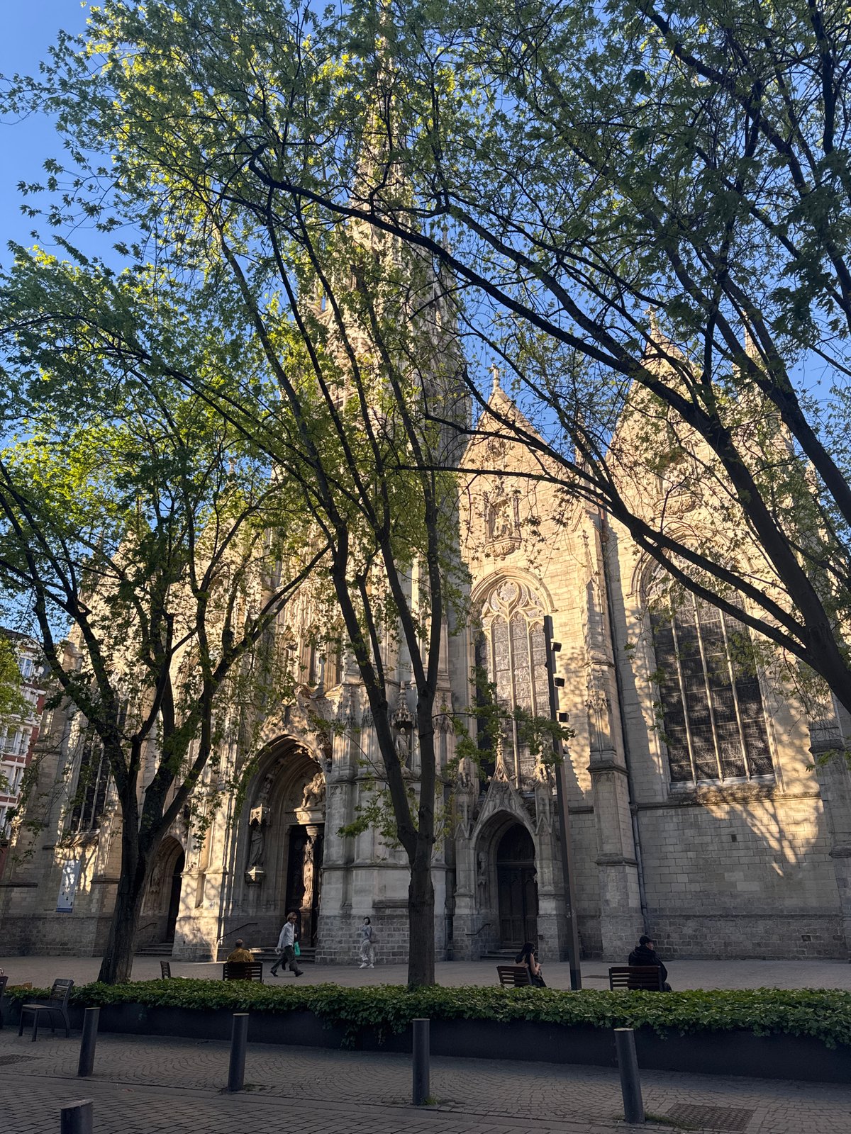 Spring afternoon scenes documented in Lille: cathedral through trees, skateboard display