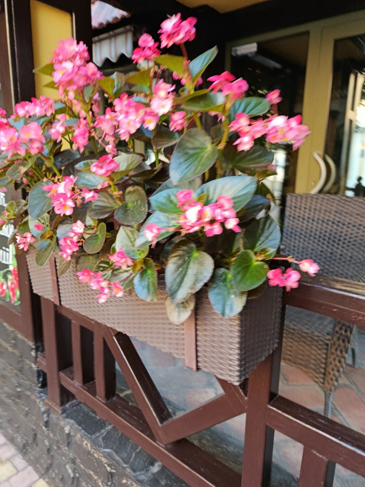 Flower-filled streets and storefronts in a charming pedestrian district