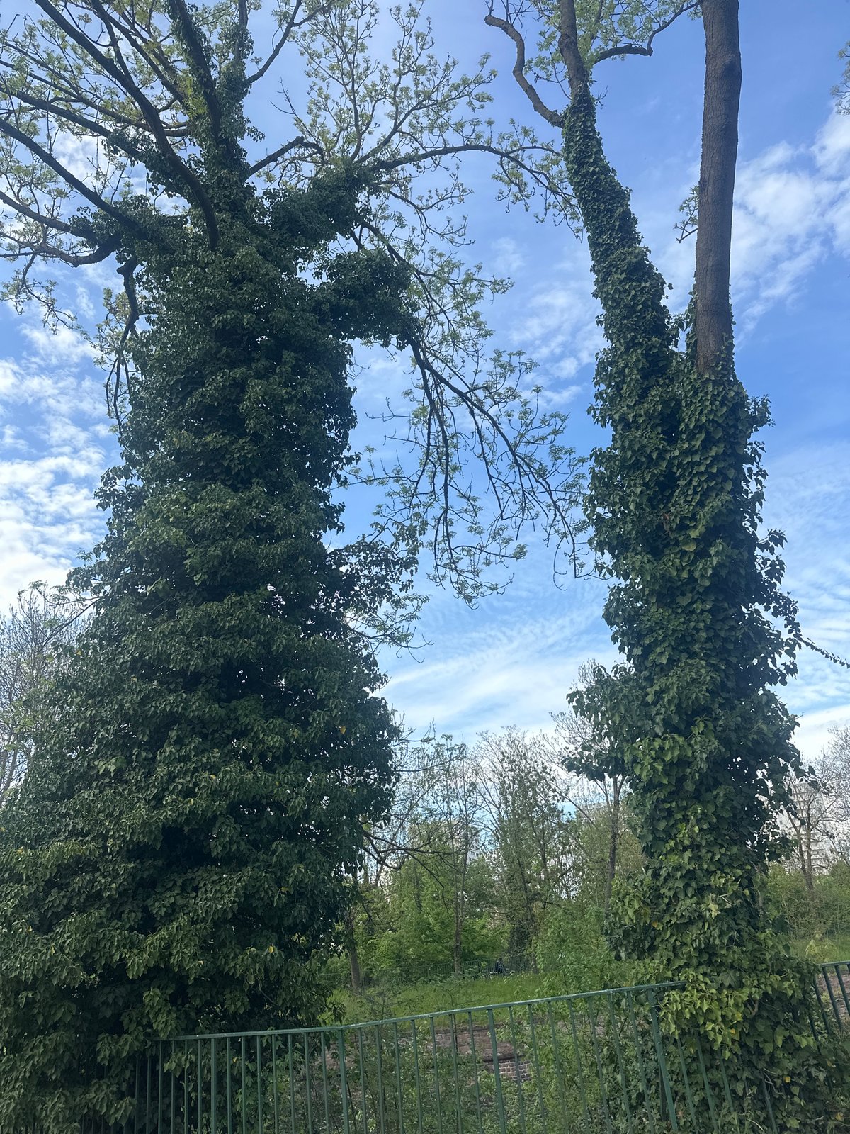 Clear skies photographed above Strasbourg park scene