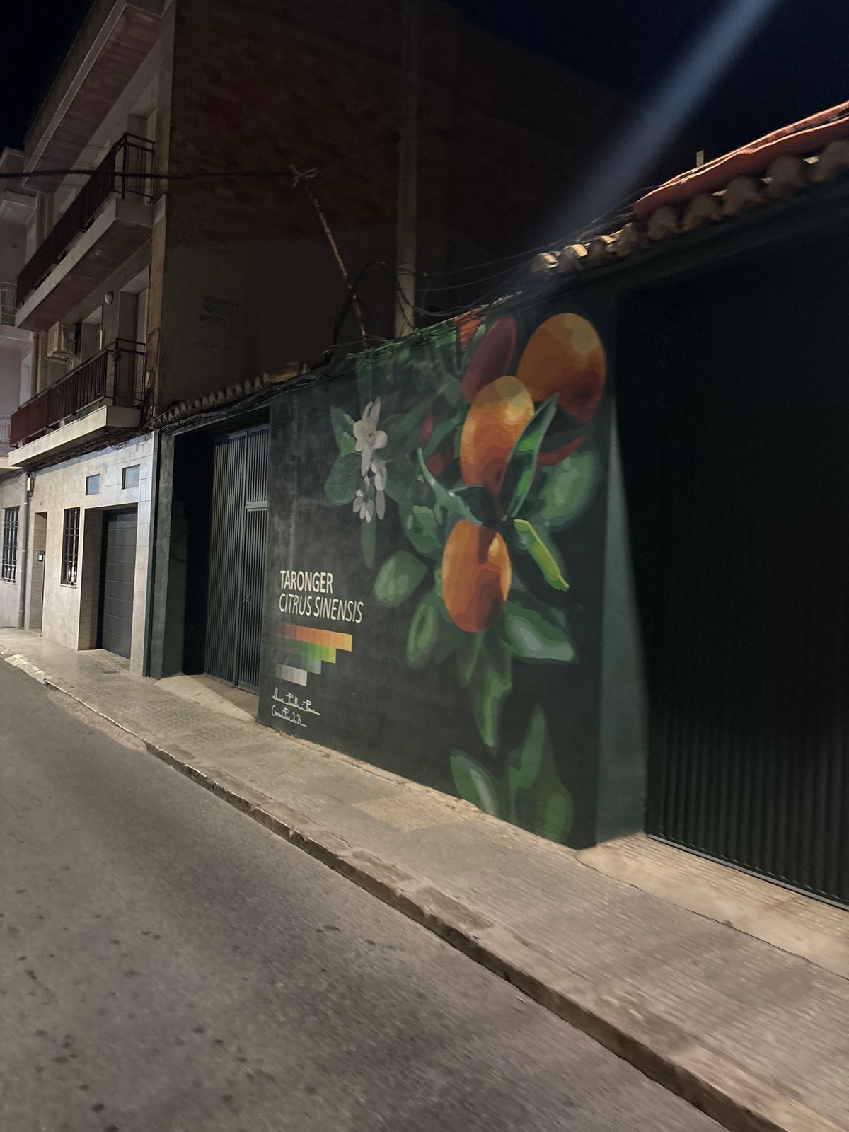 Nighttime streets of Picassent, Spain, citrus murals and warm air