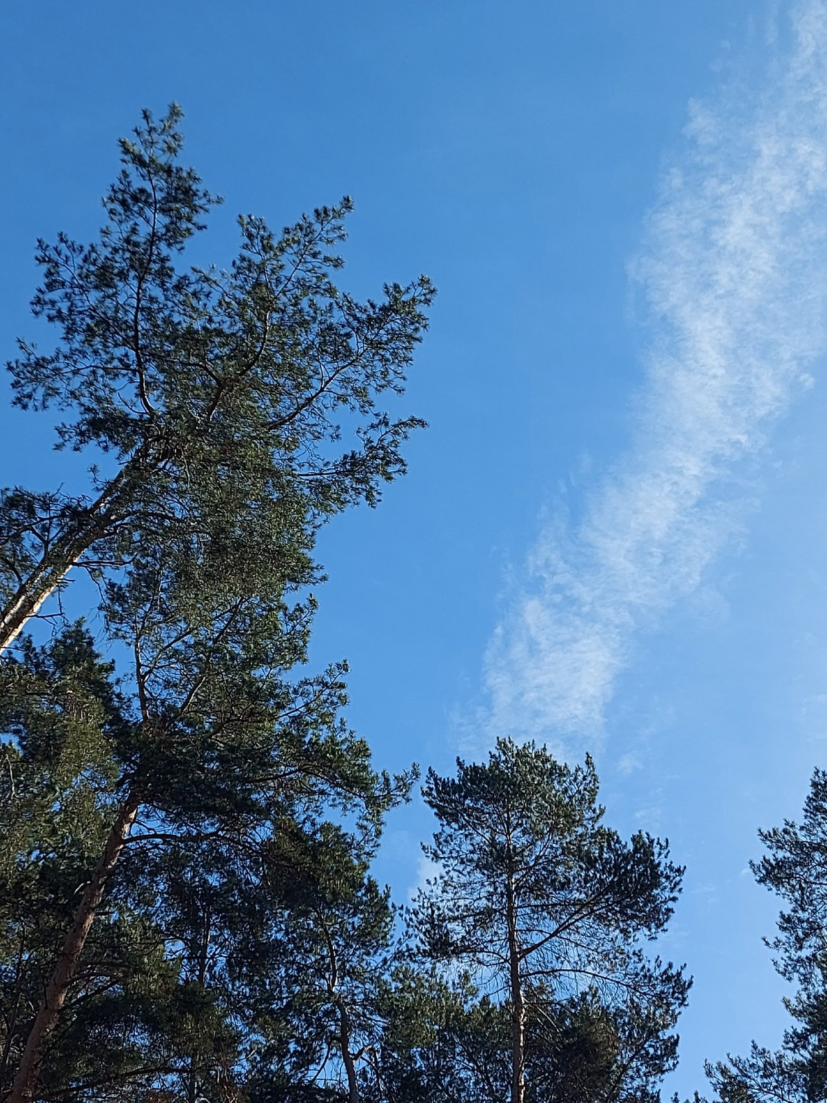 Morning life documented across Chaikovsky during spring snowmelt