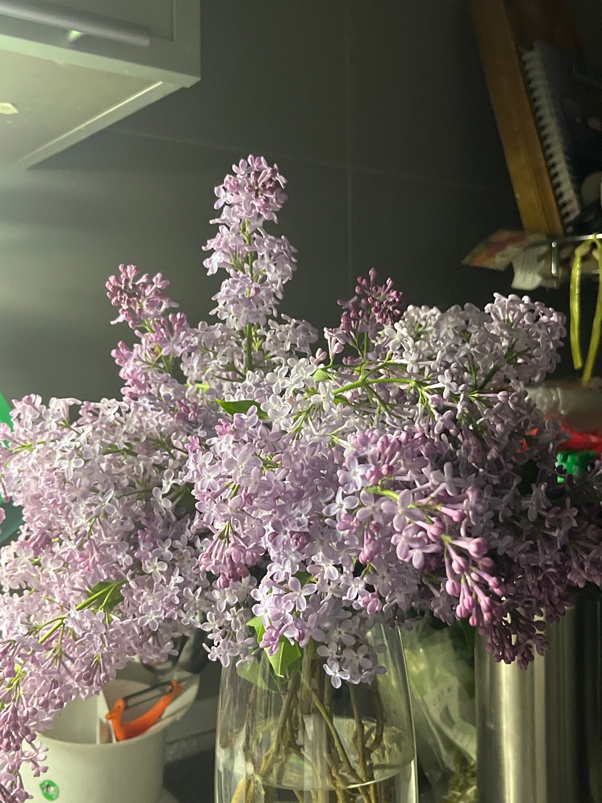 Purple lilac bouquet displayed in domestic setting, Chaikovsky