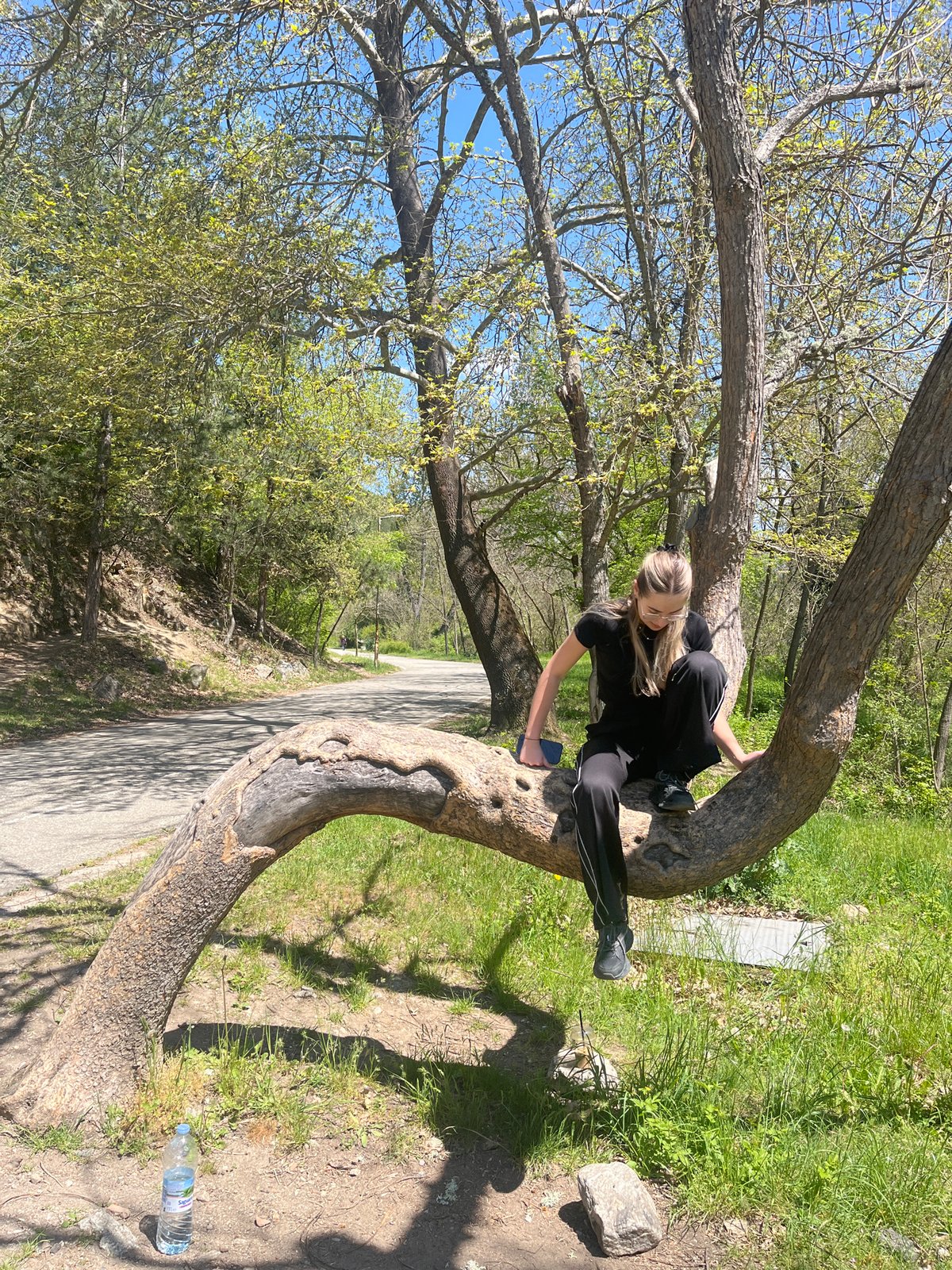 Woman rests on curved tree trunk in Bulgarian park