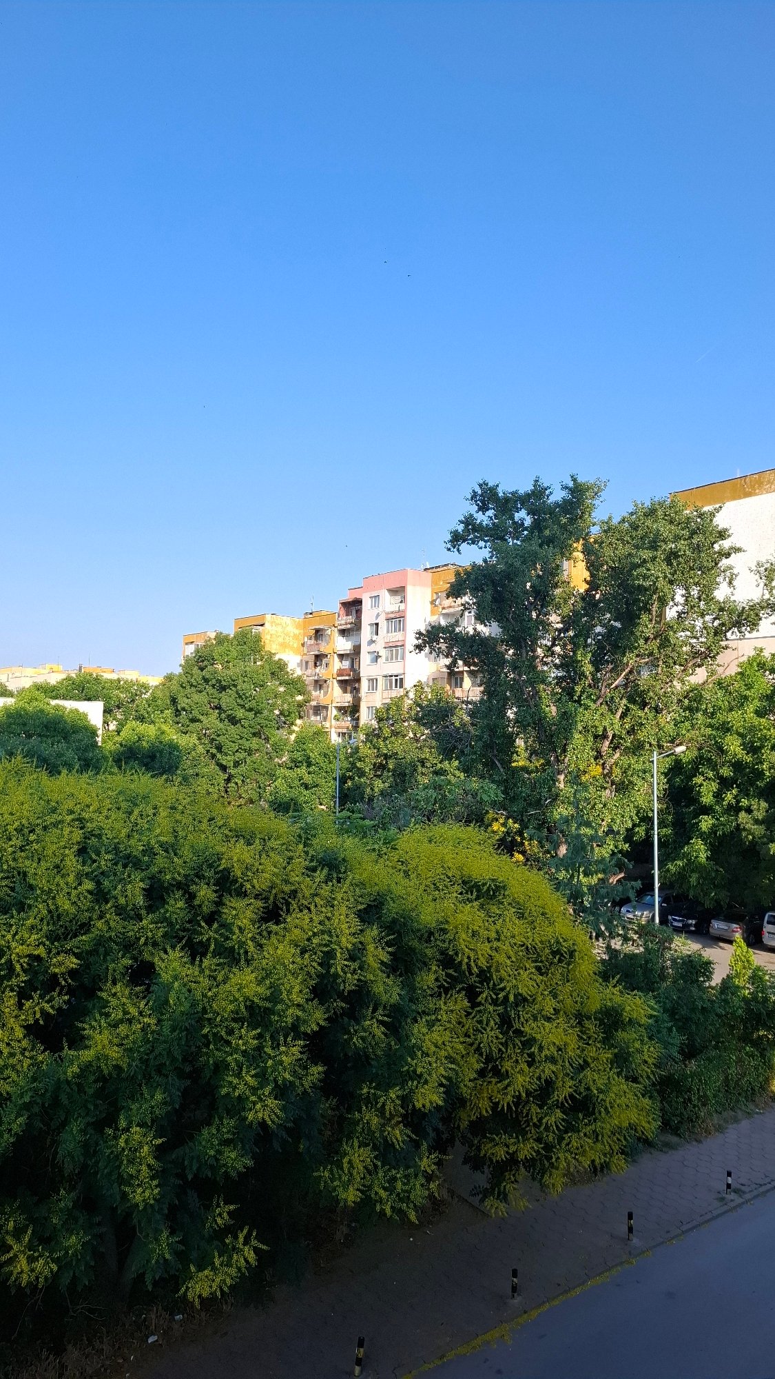 Quiet residential streets and summer greenery in Plovdiv