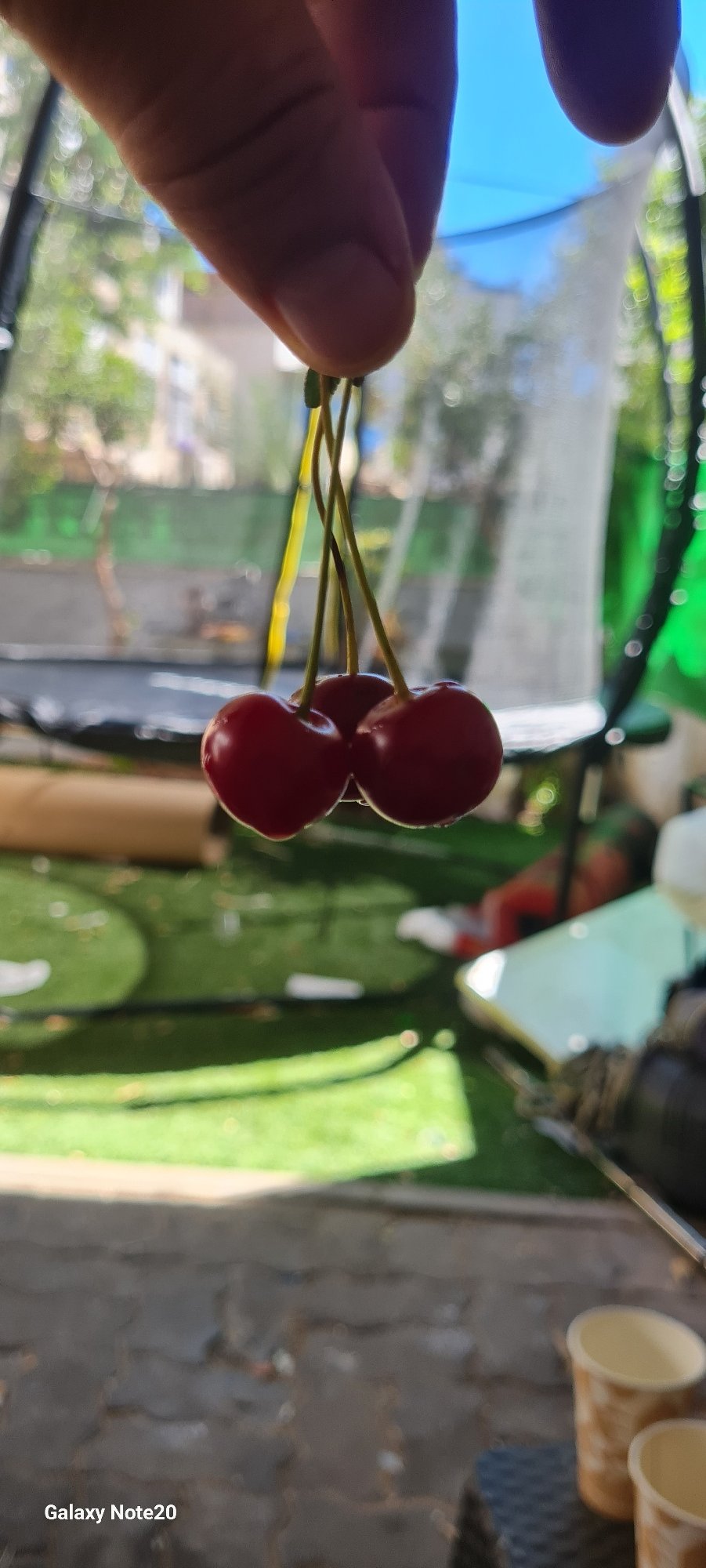 Lazy afternoon at home in Holon, cherries and garden details