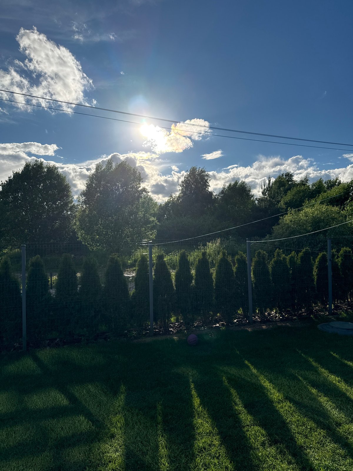 Backyard afternoon in Zhostovo, clouds and a passing plane