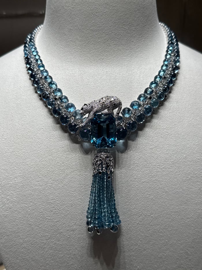 Luxury jewelry collection observed on display in Paris