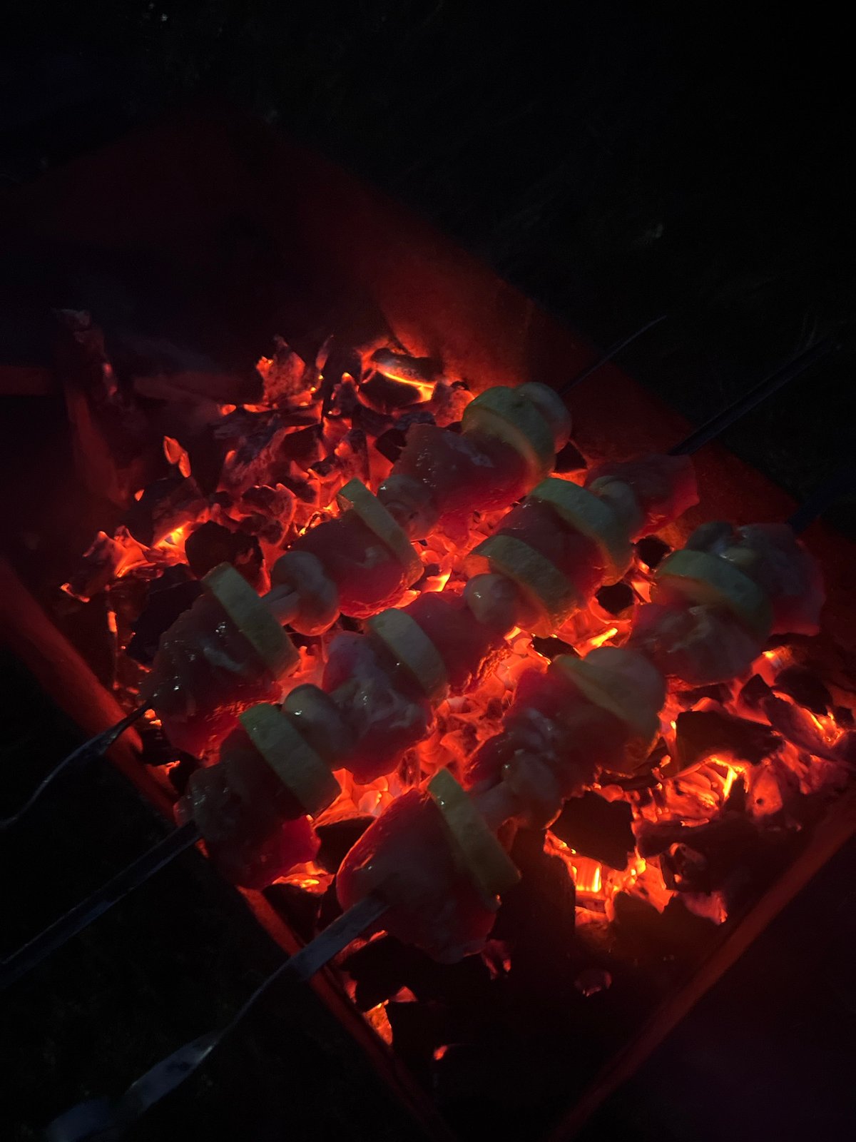 Evening barbecue with skewers and dog in Chaikovsky, Russia