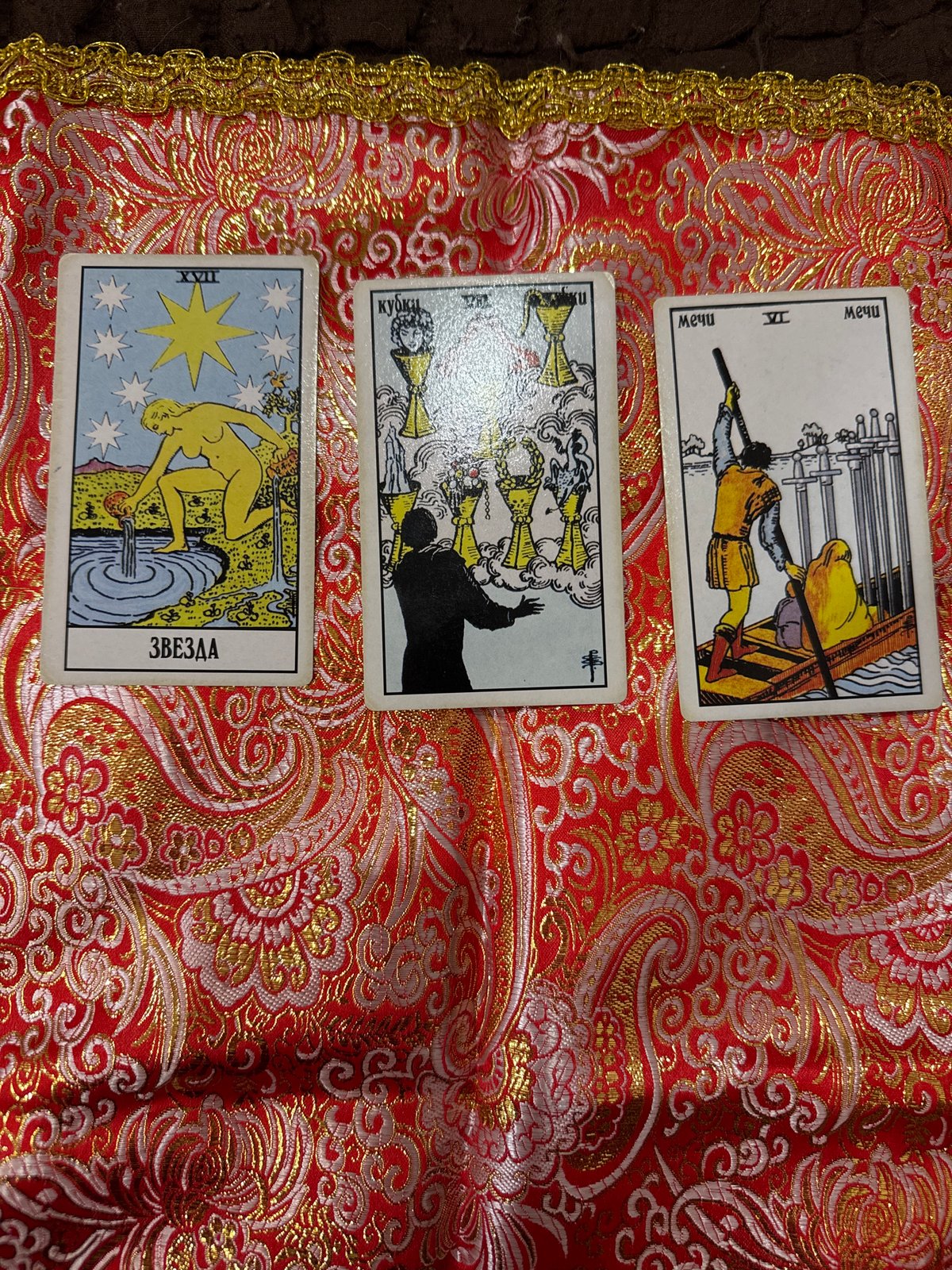 Tarot reading session with cats documented in Sochi home