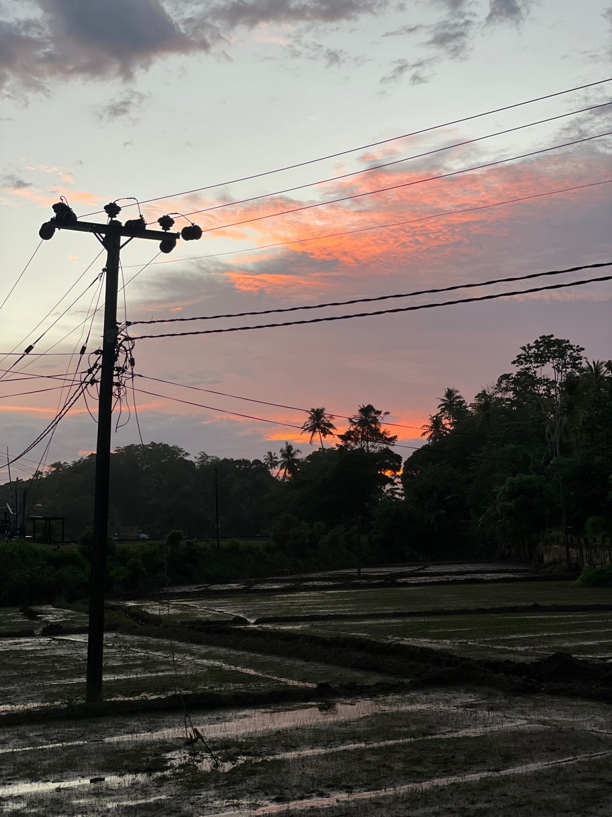 Sunset street life documented in rural Sri Lankan village