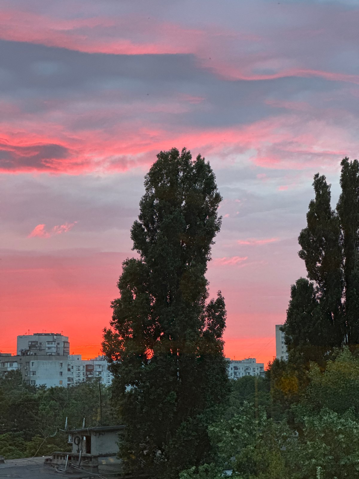 Striking city sunset from multiple angles, plus a cat indoors