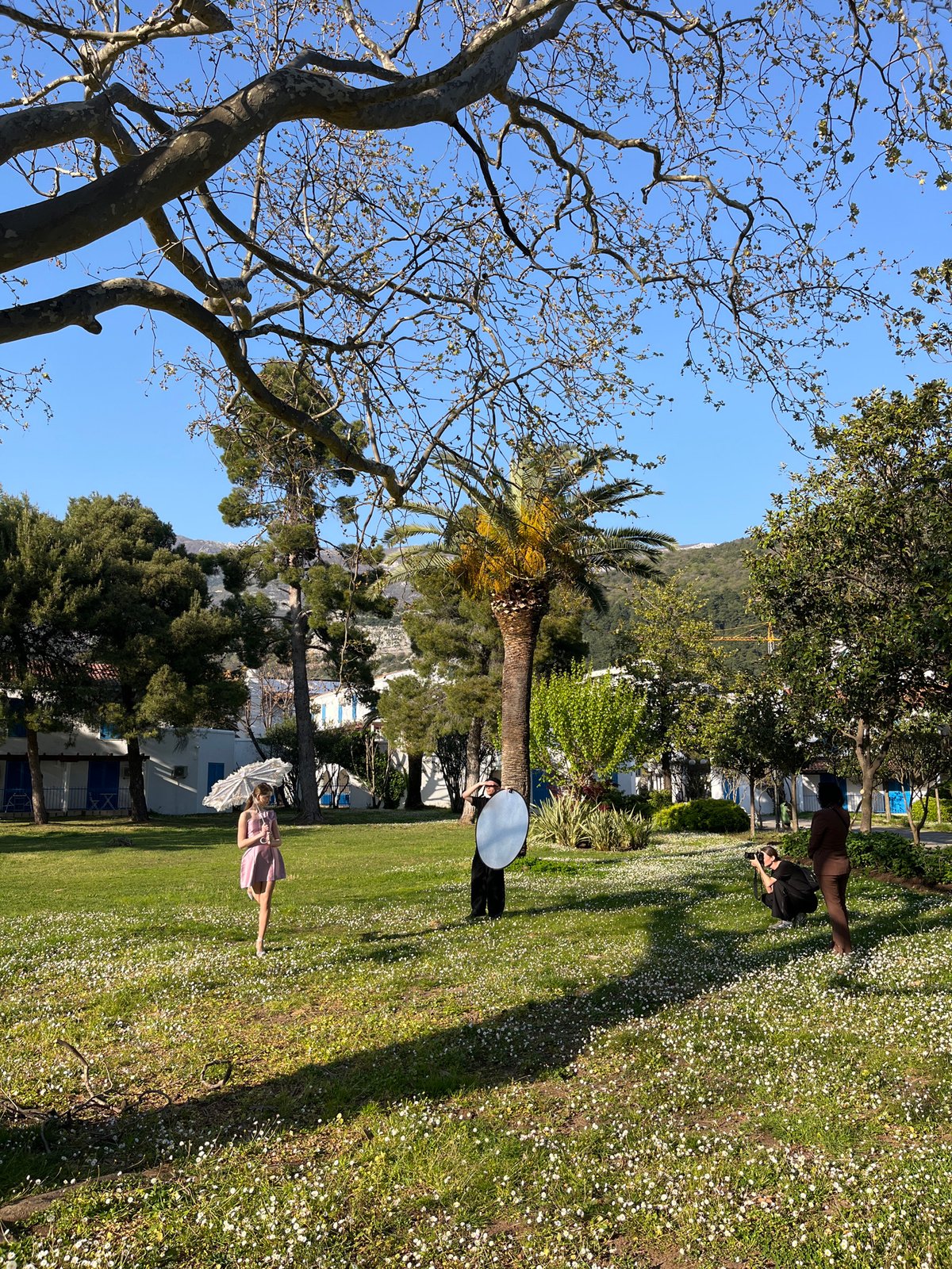 Spring afternoon moments captured in Budva: bees, daisies, chess