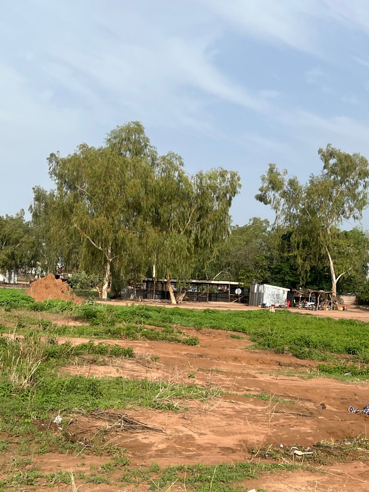Morning street life documented across Howayi, Nigeria neighborhoods