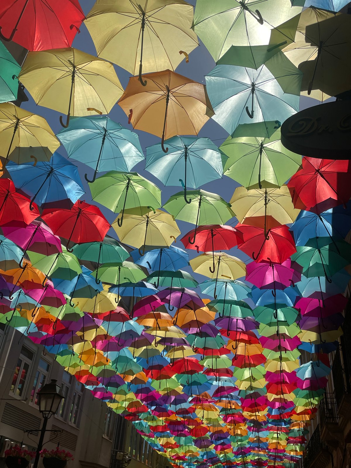 Águeda's colorful umbrella canopy and tiled streets in summer