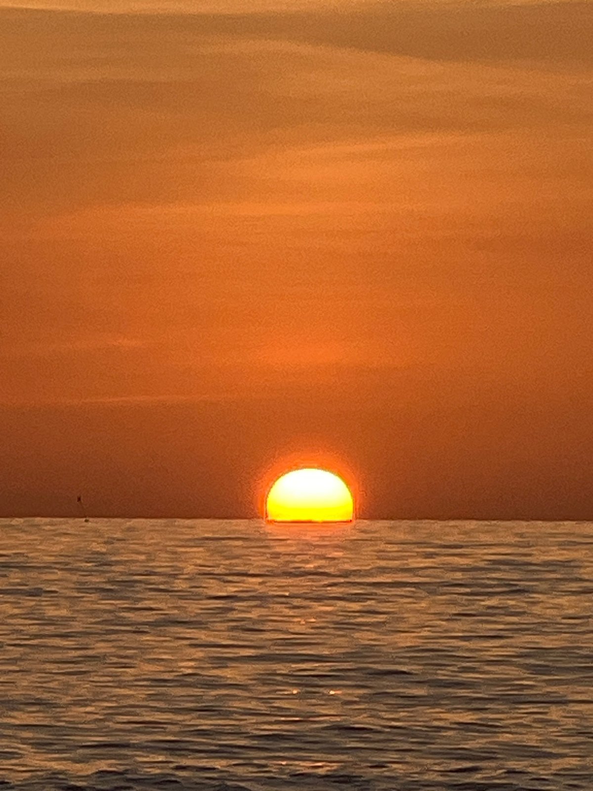 Sunset and a monitor lizard on Ko Pha-ngan's shore