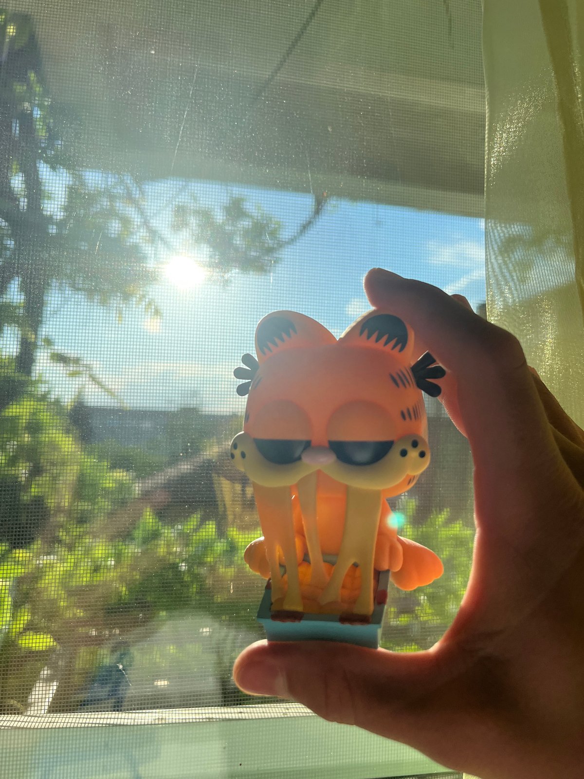 Sofia collector documents personal figurines and memorabilia collection