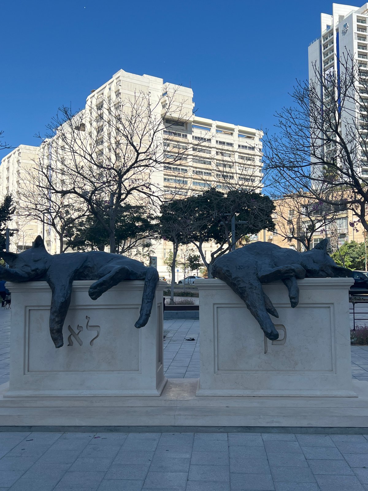 Morning scenes from Tel Aviv park captured by witness