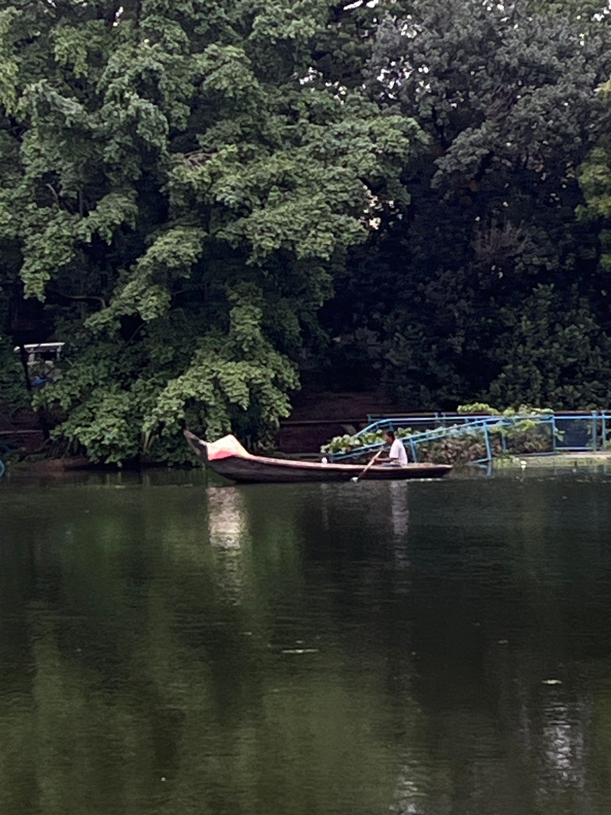 Morning lakeside life captured in Dhaka: vendors, boats, quiet moments