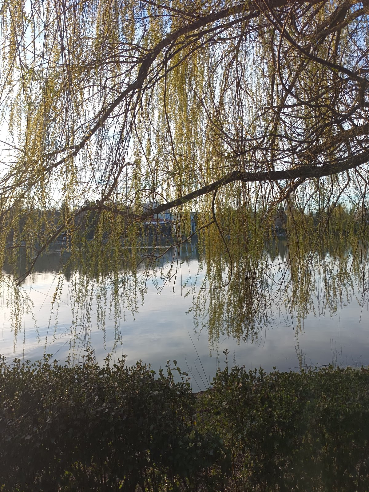 Spring afternoon captured at Targovishte park and lake